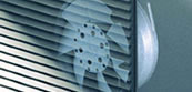 Fan and filter unit
